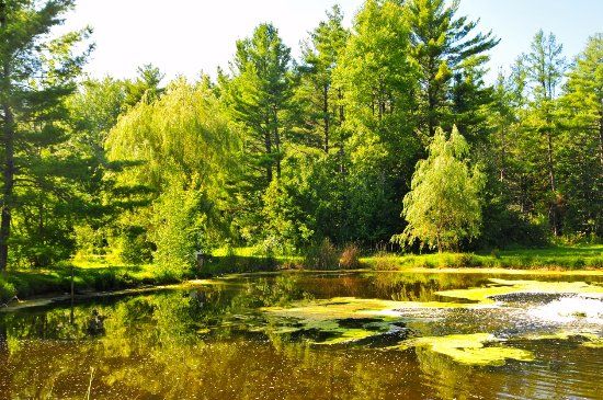 Parc du Domaine Vert