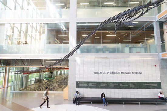 Pacific Museum of Earth