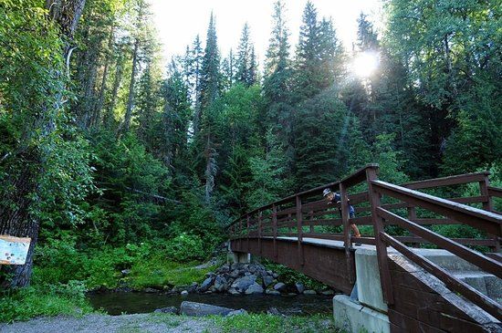 Mount Fernie Provincial Park