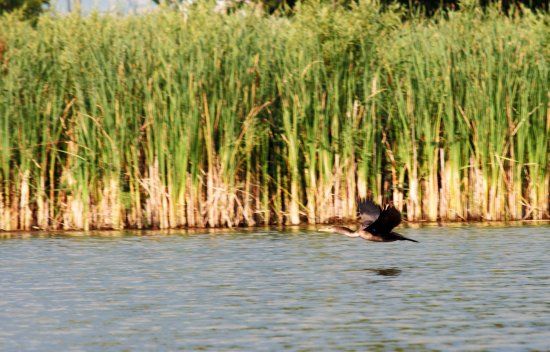 Bowmanville Harbour Conservation Area