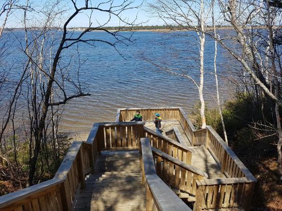 Daly Point Nature Reserve