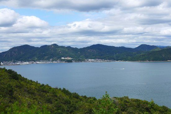 Rabbit Island Lookout