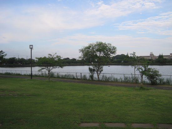 Fureaisakataike Park