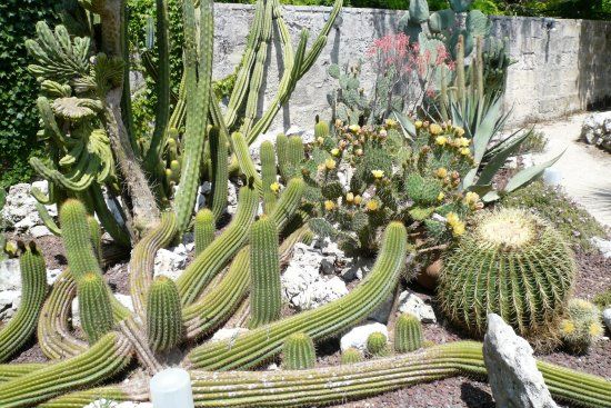 La Cutura Giardino botanico