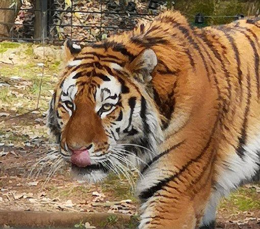 Tierpark Chemnitz