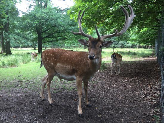 Tierpark Chemnitz
