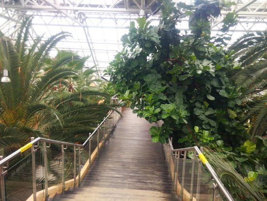 Palm House
