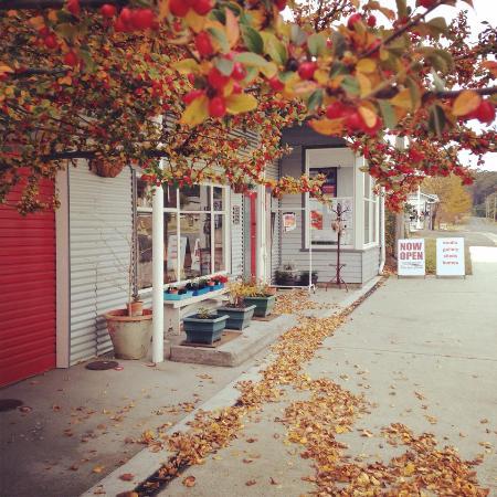 Gone Rustic Studio and Gallery