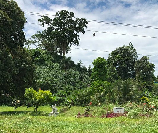 Amelia Earhart Memorial Lae PNG