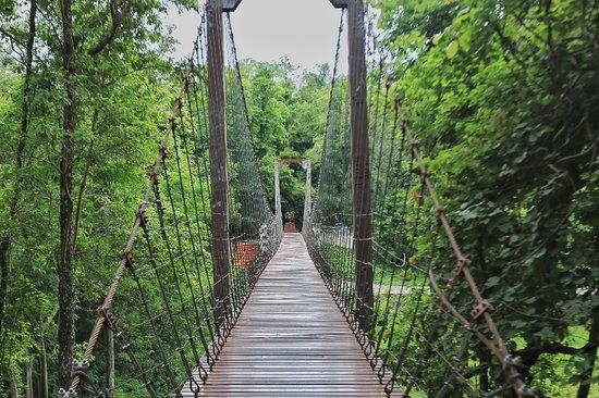 Khao Kradong Forest Park