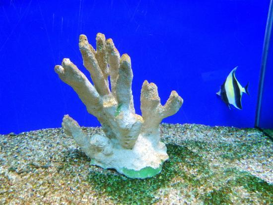 Labuan Marine Museum
