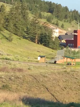 Kamloops Longboard Park