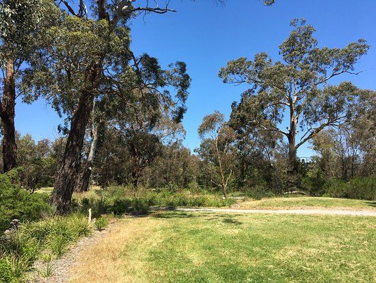 Yarrabing Wetlands Reserve