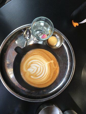 Coffee Sapiens