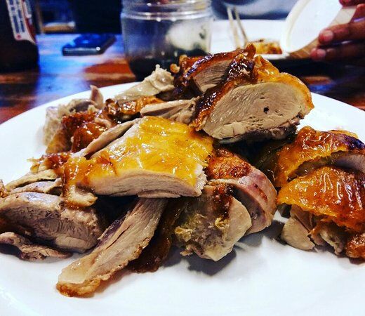 995 Duck