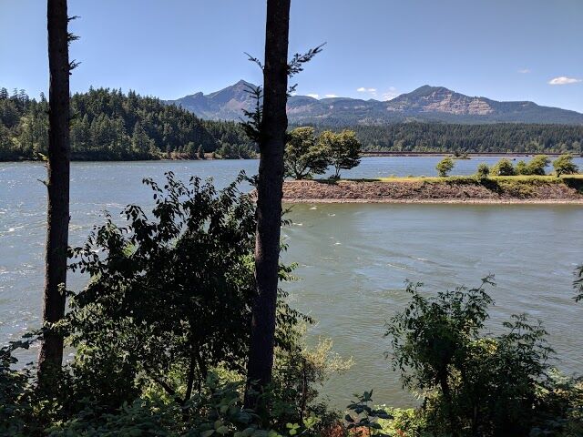 Thunder Island Brewing Co