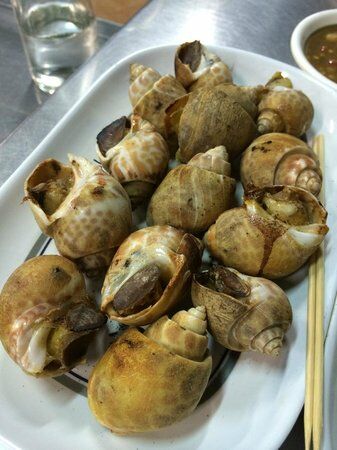 Huaplachongnonsea Junior