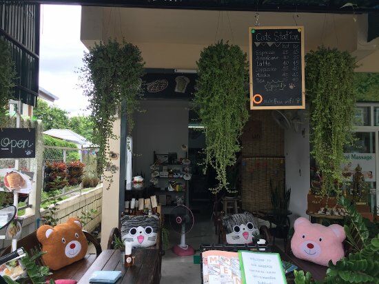 Cats Station Cafe