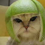 Montvale House Rest Area