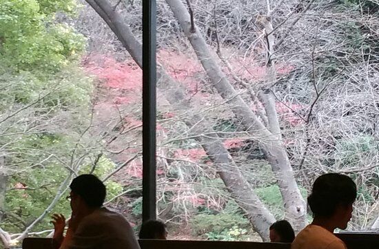 Lounge Momiji