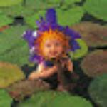 Nimbu Tamatar Mirchi